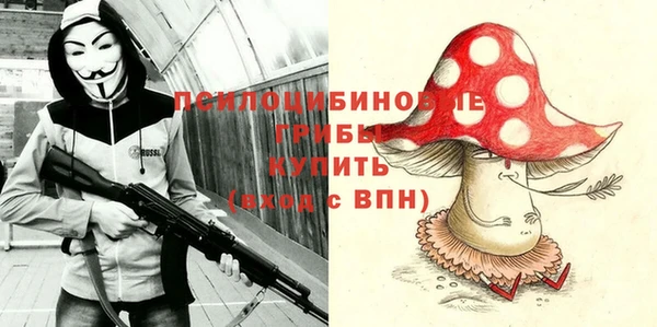 мдпв Алексин