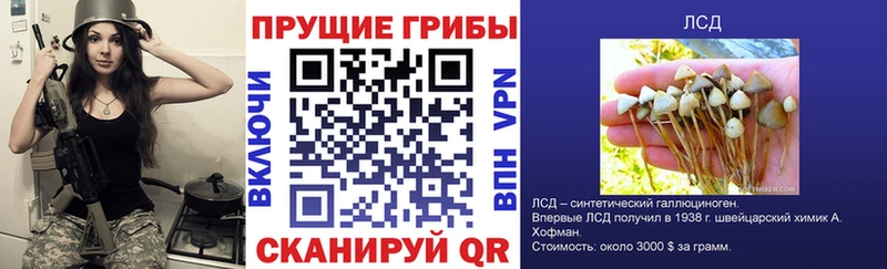 мориарти клад Грязовец Галлюциногенные грибы Psilocybine cubensis